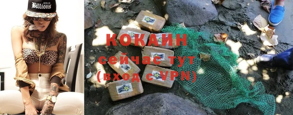 кокс Пионерский