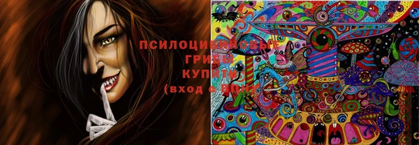 МДПВ Михайловск