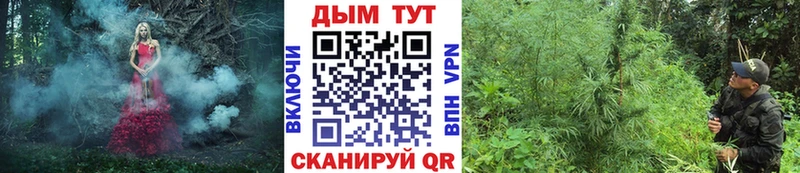 shop Telegram  гидра   Шали  Бошки марихуана конопля 
